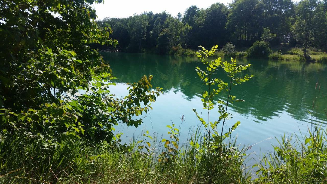 Lieblingsplatz Leilighet Altenstadt  Eksteriør bilde